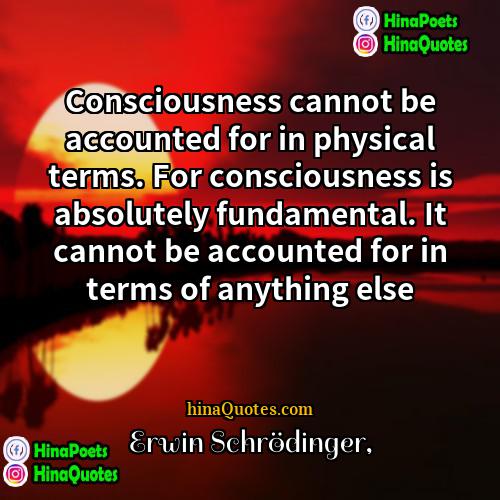 Erwin Schrödinger Quotes | Consciousness cannot be accounted for in physical
